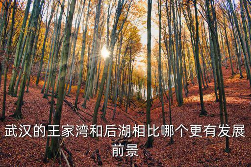 武漢漢陽王家灣十年后發展怎么樣,你覺得現在漢陽的發展怎么樣