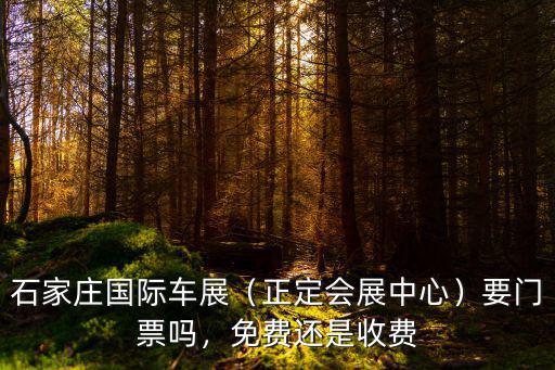 石家莊國際車展（正定會展中心）要門票嗎，免費還是收費
