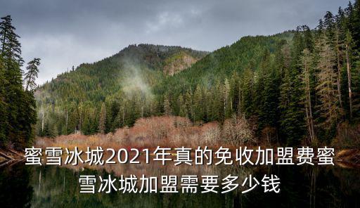唐山遵化蜜雪冰城加盟多少錢,蜜雪冰城加盟需要多少錢