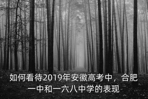 如何看待2019年安徽高考中，合肥一中和一六八中學(xué)的表現(xiàn)