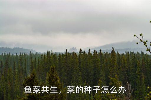 安徽魚(yú)菜共生陶粒多少錢(qián),魚(yú)菜共生蔬菜種植介質(zhì)哪種好