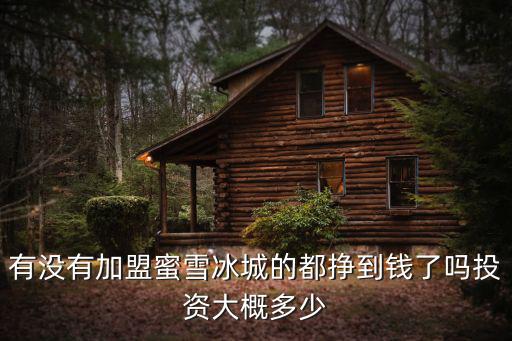 亳州開蜜雪冰城要多少錢,投資大概多少