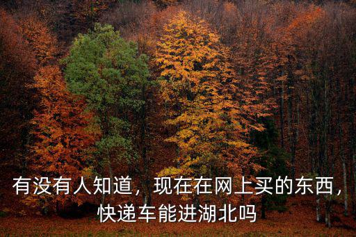 有沒有人知道，現在在網上買的東西，快遞車能進湖北嗎