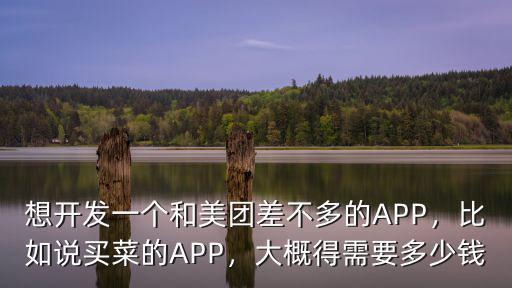 想開(kāi)發(fā)一個(gè)和美團(tuán)差不多的APP，比如說(shuō)買菜的APP，大概得需要多少錢