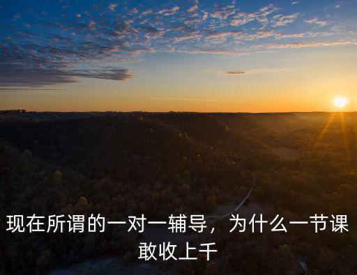 衡水一對(duì)一輔導(dǎo)多少錢一節(jié)課,現(xiàn)在所謂的一對(duì)一輔導(dǎo)