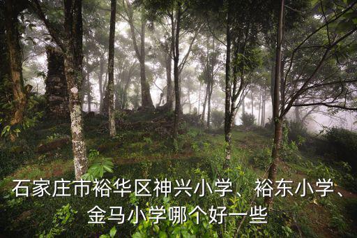 石家莊神興小學花多少錢進,石家莊哪些小學比較好