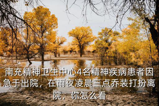 南充精神衛生中心4名精神疾病患者因急于出院，在雨夜凌晨三點喬裝打扮離院，你怎么看
