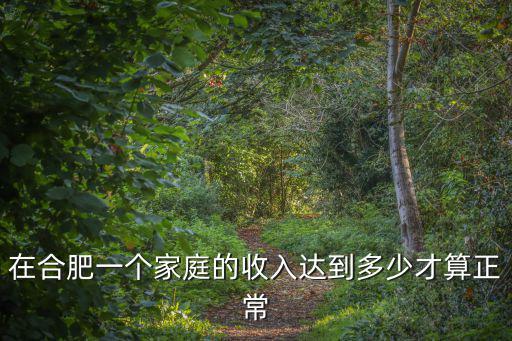 在合肥一個家庭的收入達到多少才算正常