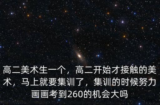 安徽高二美術(shù)生多少錢一學(xué)期,美術(shù)生三年需要多少錢
