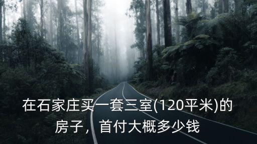 在石家莊買一套三室(120平米)的房子，首付大概多少錢