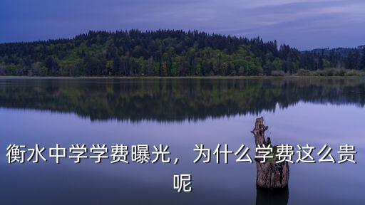 衡水中學(xué)學(xué)費(fèi)曝光，為什么學(xué)費(fèi)這么貴呢