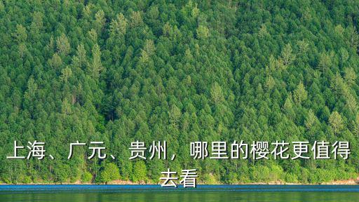 上海、廣元、貴州，哪里的櫻花更值得去看