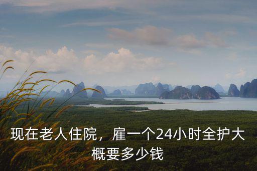 現在老人住院，雇一個24小時全護大概要多少錢