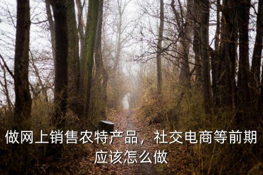 咸寧網上營銷怎么做,實體店怎樣做網上營銷