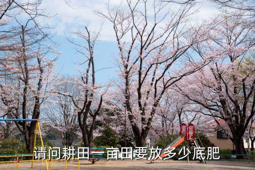 蓮子一畝田要放多少復(fù)合肥,請問耕田一畝田要放多少底肥