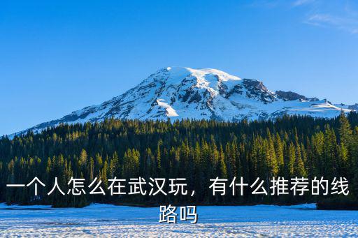 怎么逛武漢,武漢一日游該怎么安排