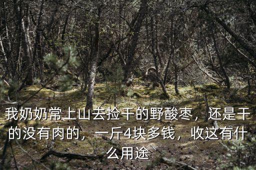 滄州干的冬青棗多少錢一斤,現在一斤青棗大概要多少錢