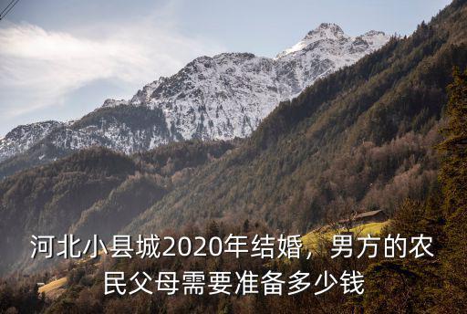 河北小縣城2020年結婚，男方的農民父母需要準備多少錢