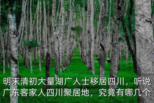明末清初大量湖廣人士移居四川，聽說廣東客家人四川聚居地，究竟有哪幾個