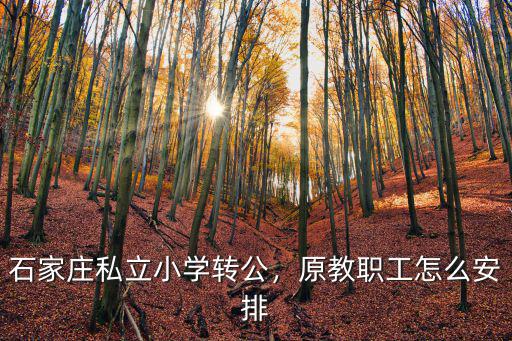 石家莊私立小學教師工資多少,石家莊私立小學轉(zhuǎn)公