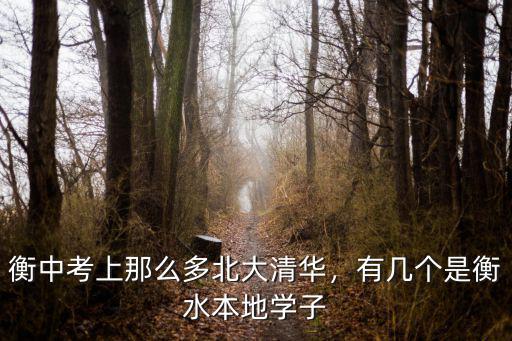 衡水有多少人得肺炎,衡水有多少人對(duì)衡水有自豪感