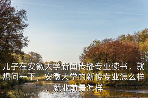 2017年安徽大學(xué)新聞傳播系多少人,安徽大學(xué)新聞傳播學(xué)怎么樣