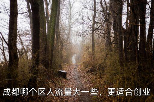 成都哪個區人流量大一些，更適合創業