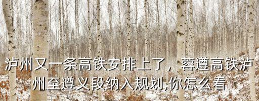 瀘州高鐵南站是在哪里,瀘州高鐵將新增東站