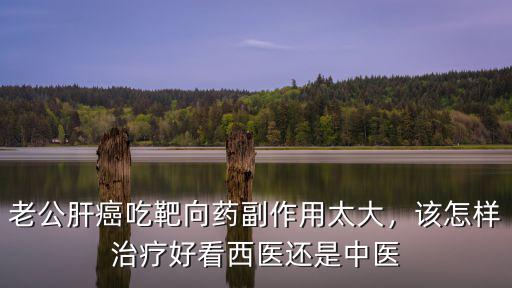 湖北省中醫(yī)院治療肝癌怎么樣,中醫(yī)是如何治療肝癌的