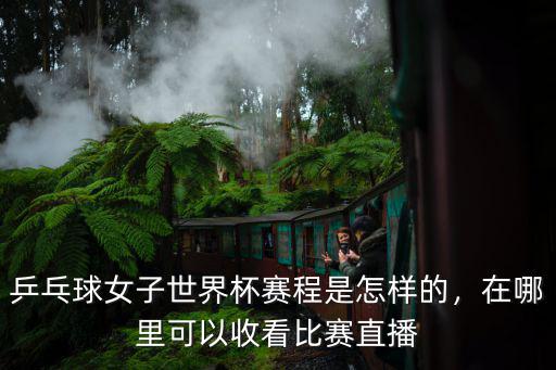 成都奧賽在哪里可以看直播,在哪里可以收看比賽直播