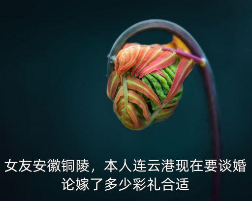 女友安徽銅陵，本人連云港現(xiàn)在要談婚論嫁了多少彩禮合適