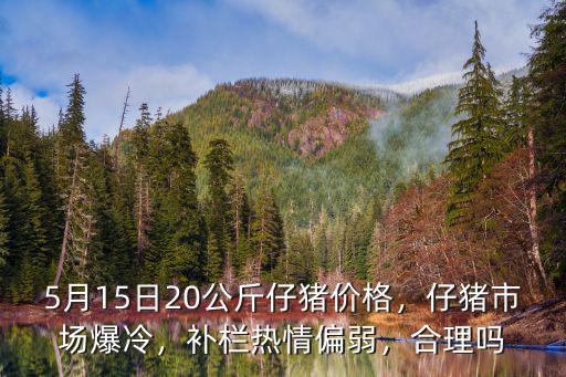 5月15日20公斤仔豬價格，仔豬市場爆冷，補欄熱情偏弱，合理嗎