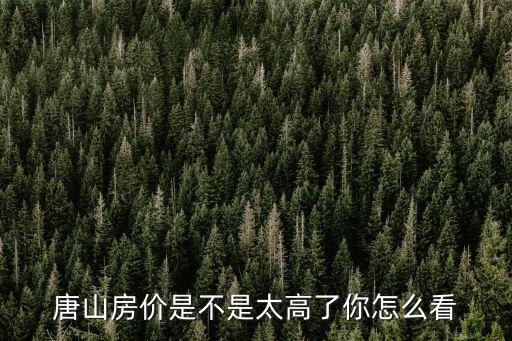 唐山房?jī)r(jià)是不是太高了你怎么看
