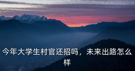武漢大學(xué)生村官怎么樣,今年大學(xué)生村官還招嗎