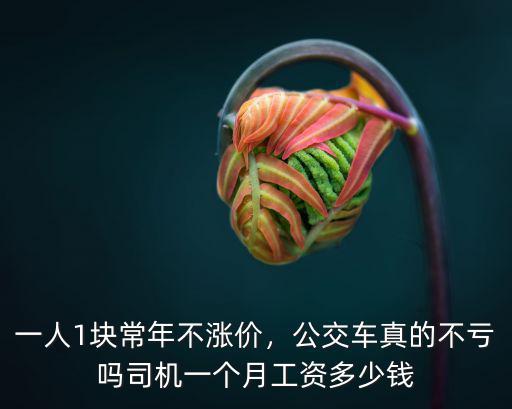 衡水開公交車工資多少錢,開公交車工資咋樣