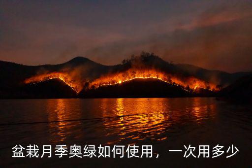 月季花使用復合肥一次使用多少,地栽月季怎么使用復合肥