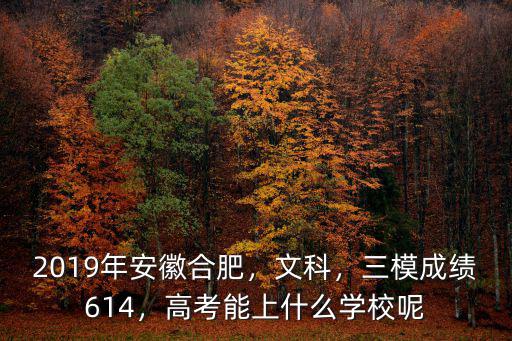 2019年安徽合肥，文科，三模成績614，高考能上什么學校呢