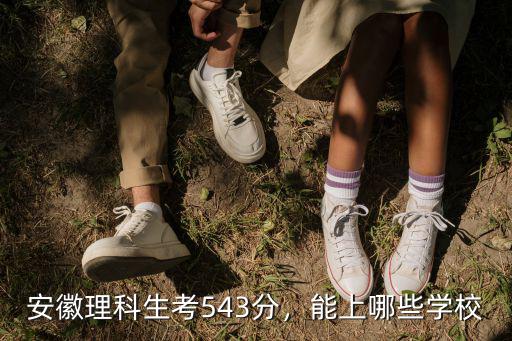 安徽理工大學(xué)需要多少分能上理科,安徽理科481分