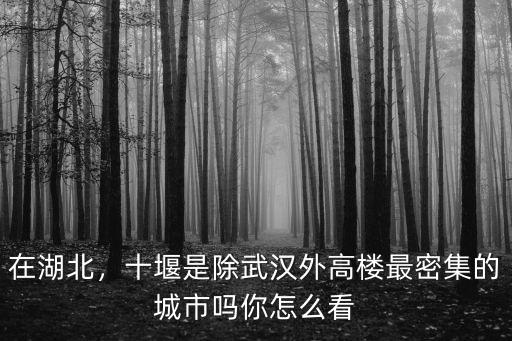 湖北武漢怎么建那么多高樓,武漢為什么要建中國第一高樓
