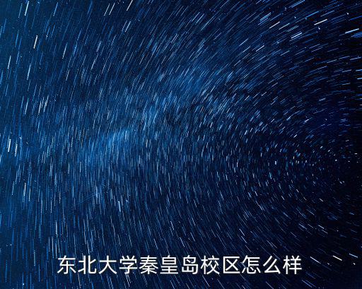 東北大學秦皇島校區怎么樣