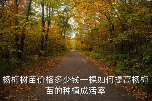 種植楊梅樹苗需要放多少復(fù)合肥,楊梅樹苗價(jià)格多少錢一棵