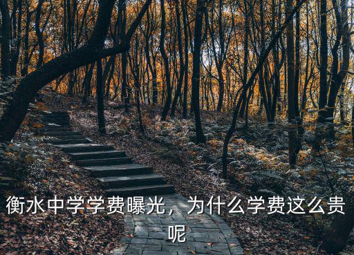 滇池衡水中學初中學費大概多少,衡水中學學費是多少