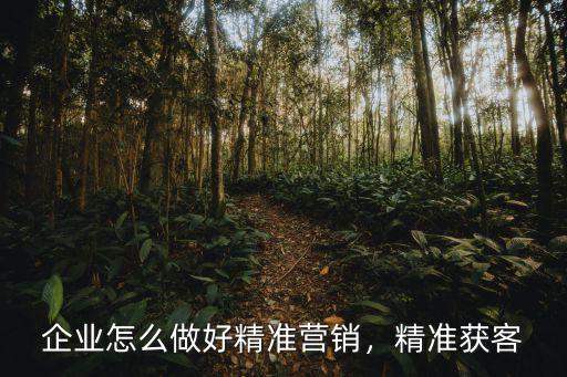 孝感短視頻引流怎么獲客才精準(zhǔn),企業(yè)怎么做好精準(zhǔn)營銷
