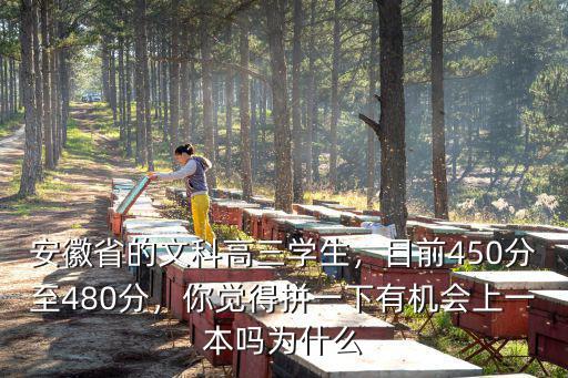 2019安徽省一本達線多少分,預計安徽一本線是多少