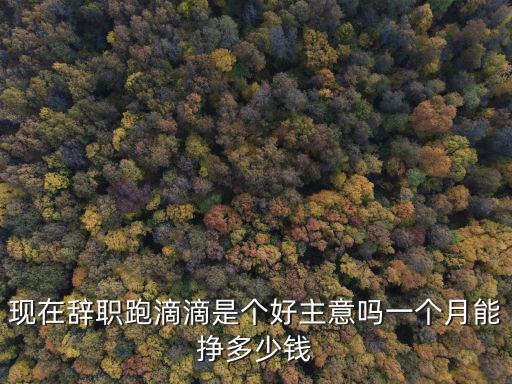 現(xiàn)在辭職跑滴滴是個(gè)好主意嗎一個(gè)月能掙多少錢