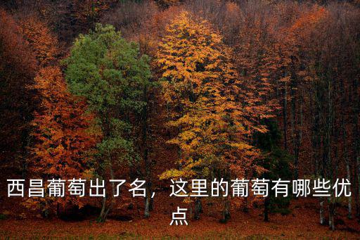 西昌葡萄出了名，這里的葡萄有哪些優(yōu)點