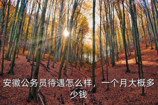 安徽公務員法警一個月工資多少,安徽公務員待遇怎么樣