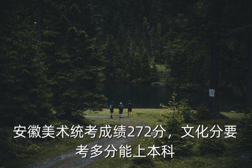 2011安徽省美術聯考多少分,安徽省美術統考222分
