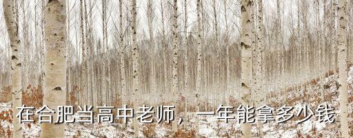 安徽當(dāng)老師一年拿多少工資待遇,一年能拿多少錢