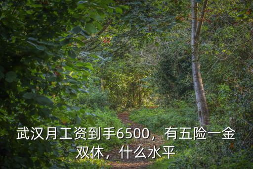 武漢文員朝六晚九周末雙休怎么樣,在武漢周末雙休